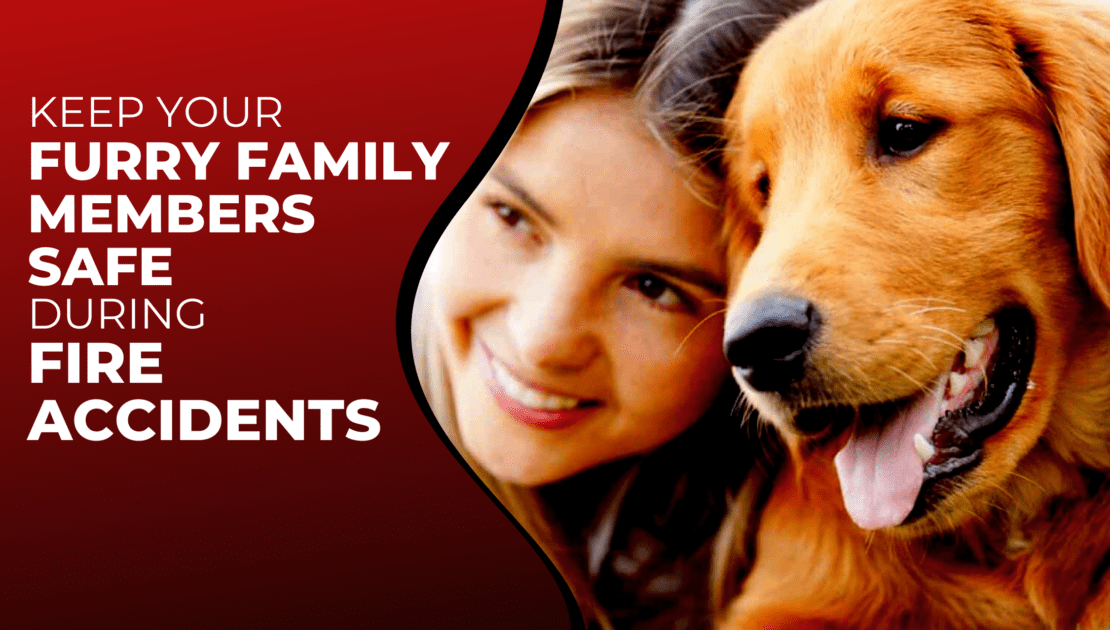 Keep Your Furry Family Members Safe During Fire Accidents - Mill Brook Fire Protection