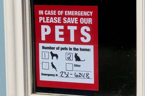 Keep Your Furry Family Members Safe During Fire Accidents