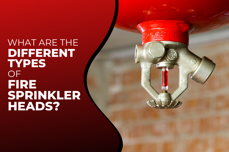 What are the Different Types of Fire Sprinkler Heads? Mill Brook